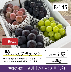 9月-10月B145/社員ﾏｽｶｯﾄ入ｱﾗｶﾙﾄ【3-5房/上級品】4R
