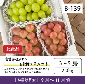 9月-10月B139/おまかせ葡萄＆社員ﾏｽｶｯﾄ【3-5房/上級品】4R