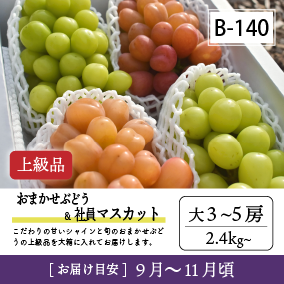 9月-10月B140/おまかせ葡萄＆社員ﾏｽｶｯﾄ【大3-5房/上級品】30R