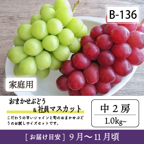 9月-10月B136/おまかせ葡萄＆社員ﾏｽｶｯﾄ【中2房】6K