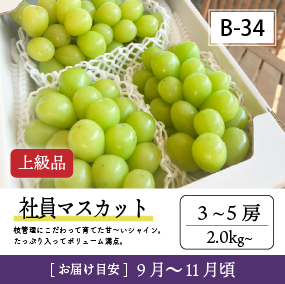 9月-10月B34/社員ﾏｽｶｯﾄ【3-5房】4R