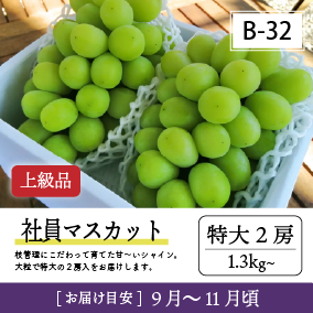 9月-10月B32/社員ﾏｽｶｯﾄ【特大2房/上級品】2R