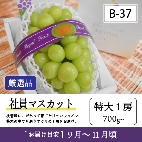 社員リズム9月B37/社員ﾏｽｶｯﾄ【特大1房/厳選品】7R