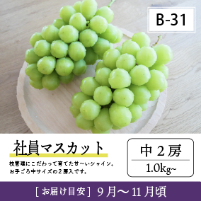 9月-10月B31/社員ﾏｽｶｯﾄ【中2房】6K