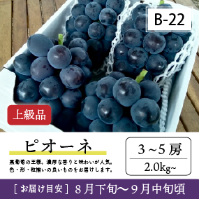 9月-10月B22/ピオーネ【3-5房/上級品】4R