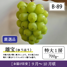雄宝リズムB89/雄宝【特大1房/厳選品】7R