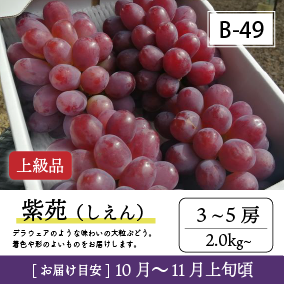 10月-11月B49/紫苑【3-5房/上級品】4R