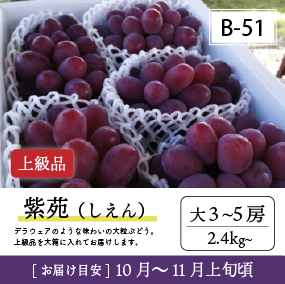 10月-11月B51/紫苑【大3-5房/上級品】30R