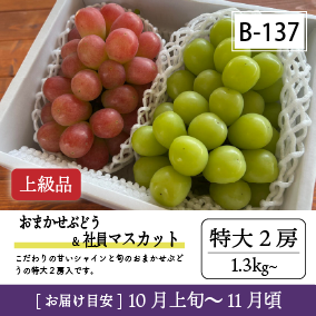 10月-11月B137-2/おまかせ葡萄＆社員ﾏｽｶｯﾄ【特大2房/上級品】2R