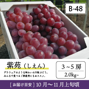 10月-11月B48/紫苑【3-5房】4K