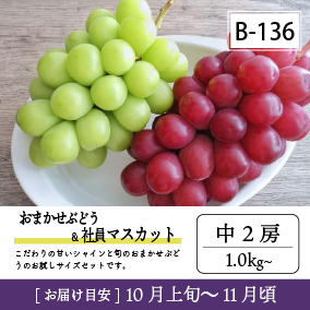10月-11月B136-2/おまかせ葡萄＆社員ﾏｽｶｯﾄ【中2房】6K