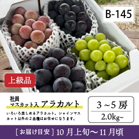 10月-11月B145-2/社員ﾏｽｶｯﾄ入ｱﾗｶﾙﾄ【3-5房/上級品】4R