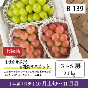 10月-11月B139-2/おまかせ葡萄＆社員ﾏｽｶｯﾄ【3-5房/上級品】4R