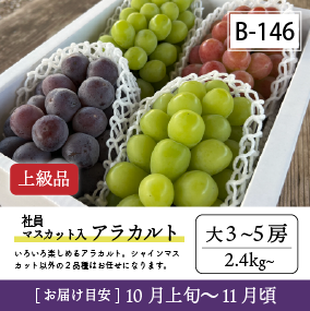 10月-11月B146-2/社員ﾏｽｶｯﾄ入ｱﾗｶﾙﾄ【大3-5房/上級品】30R