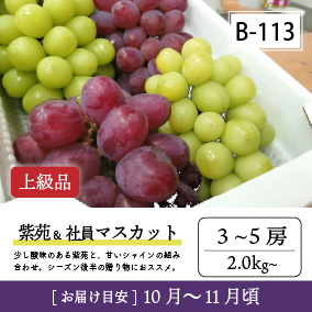 10月-11月B113/紫苑＆社員ﾏｽｶｯﾄ【3-5房/上級品】4R