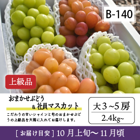 10月-11月B140-2/おまかせ葡萄＆社員ﾏｽｶｯﾄ【大3-5房/上級品】30R