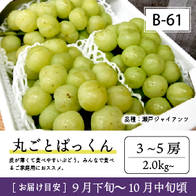 10月-11月B61/ぱっくん【3-5房】4K