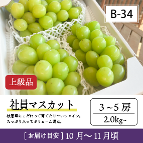 10月-11月B34-2/社員ﾏｽｶｯﾄ【3-5房】4R