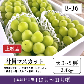 10月-11月B36-2/社員ﾏｽｶｯﾄ【大3-5房/上級品】30R