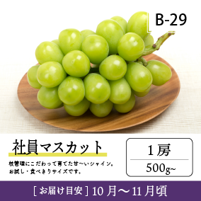10月-11月B29-2/社員ﾏｽｶｯﾄ【1房】1KR
