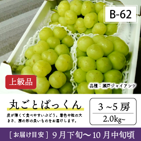 10月-11月B62/ぱっくん【3-5房/上級品】4R