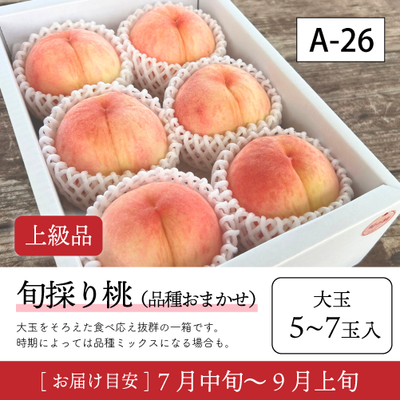旬採り桃}【受付準備中】A26/【上級品】旬採り桃 大玉 5-7玉入 40S