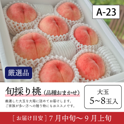 旬採り桃}【受付準備中】A23/【厳選品】旬採り桃 大玉 5-8玉入 42R