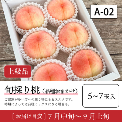 旬採り桃}【受付準備中】A02/【上級品】旬採り桃 5-7玉入 40R
