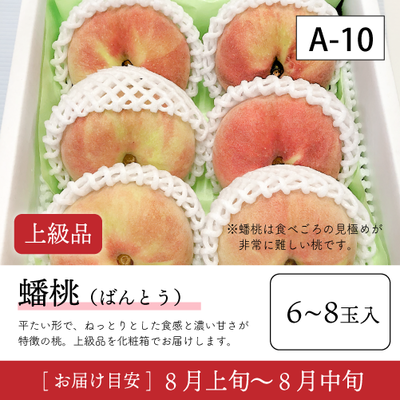 蟠桃}【受付終了】A10/【上級品】蟠桃 6-8玉 40R