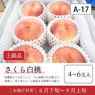 さくら白桃}【受付準備中】A17/【上級品】さくら白桃4-6玉入 40R