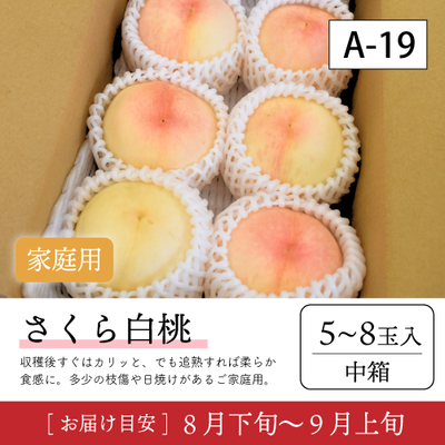 さくら白桃}【受付準備中】A19/【家庭用】さくら白桃5-8玉入 92K