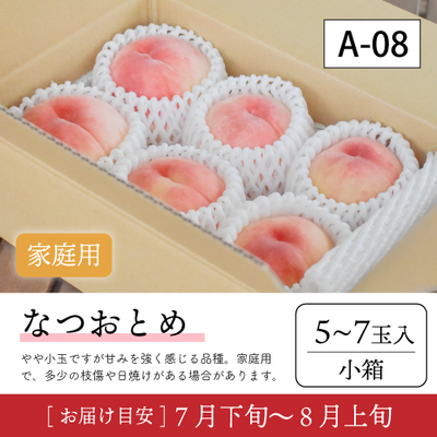 なつおとめ}【受付準備中】A08/【家庭用】なつおとめ5-7玉入 91K