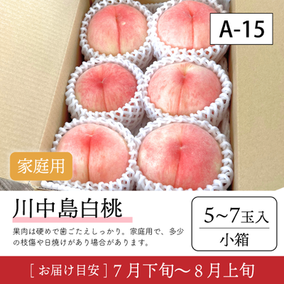 川中島白桃}【受付準備中】A15/【家庭用】川中島白桃5-7玉入 91K