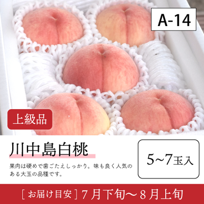 川中島白桃}【受付準備中】A14/【上級品】川中島白桃5-7玉入 40R