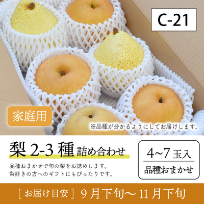 梨2-3種}【受付準備中】C21/梨2-3種【4-7玉/ご家庭用】95K