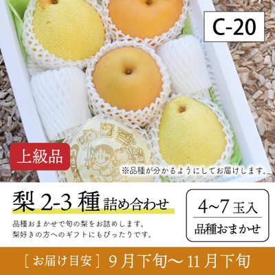 梨2-3種}【受付準備中】C20/梨2-3種【4-7玉/上級品】30R