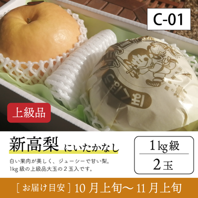 新高梨}【受付準備中】C01/新高梨【1.0kg級2玉/上級品】20R