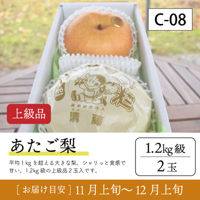 あたご梨}【受付準備中】C08/あたご梨【1.2kg級2玉/上級品】20R