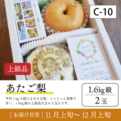 あたご梨}【受付準備中】C10/あたご梨【1.6kg級2玉/上級品】30R