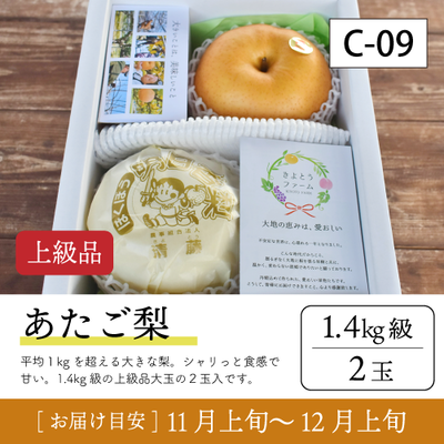 あたご梨}【受付準備中】C09/あたご梨【1.4kg級2玉/上級品】30R