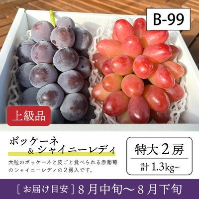 8月-9月}【受付準備中】B99/ボッケーネ＆シャイニーレディ【特大2房/上級品】2R