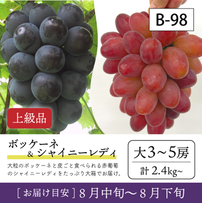 8月-9月}【受付準備中】B98/ボッケーネ＆シャイニーレディ【大3-5房/上級品】30R