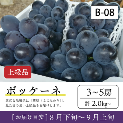 8月-9月}【受付準備中】B08/ボッケーネ【3-5房/上級品】4R