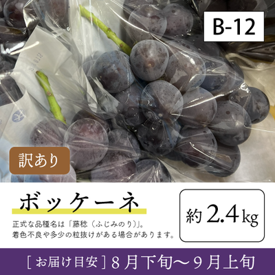 8月-9月訳ありB12/ボッケーネ【約2.4kg/訳あり品】95W