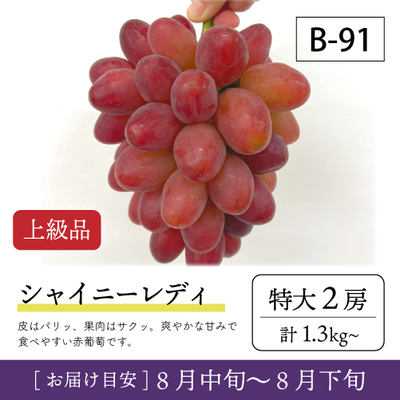 8月-9月}【受付準備中】B91/シャイニーレディ【特大2房/上級品】2R