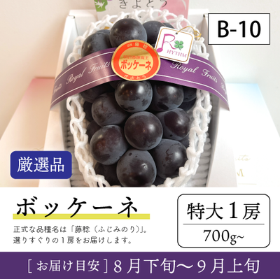 ボッケーネリズム}【受付準備中】B10/ボッケーネ【特大1房/厳選品】7R