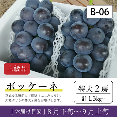 8月-9月}【受付準備中】B06/ボッケーネ【特大2房/上級品】2R