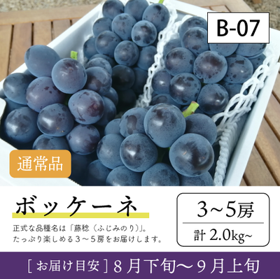 8月-9月}【受付準備中】B07/ボッケーネ【3-5房】4K