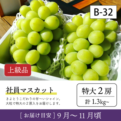 9月-10月}【受付準備中】B32/社員ﾏｽｶｯﾄ【特大2房/上級品】2R