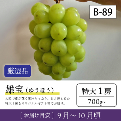 雄宝リズム}【受付準備中】B89/雄宝【特大1房/厳選品】7R